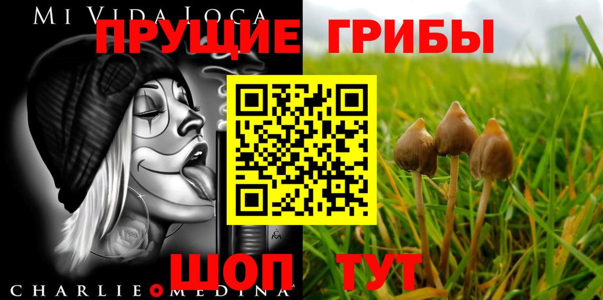Галлюциногенные грибы мицелий Лабытнанги