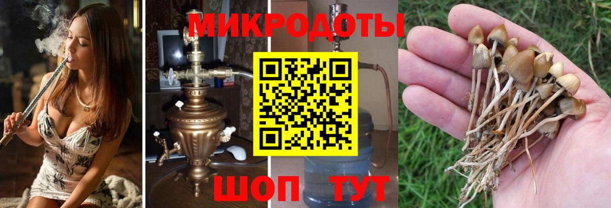 Галлюциногенные грибы Psilocybine cubensis  Вход с VPN  Псилоцибиновые грибы Cubensis  Лабытнанги 